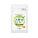 大草原の乳酸菌 NS-Max 36粒入 [ ns乳酸菌 /
