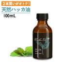 ハッカ油 天然ハッカ油100% 100mL 遮光ガラス瓶 虫よけ日本製 ペパーミント 虫除け 熱中症対策 冷却 除菌消臭 食品添加物香料 天然和種ハッカ100%Mentha Oil メンタオイル100 メントール ミントオイル マスク【おすすめ】