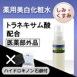 資生堂 ナビジョン TAローション(W) ＋ 石けんミニ【お得なセット】【乾燥肌】[ 化粧水 ][ NAVISION ]【おすすめ】