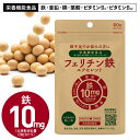 【大容量】 フェリチン鉄 鉄分 1粒 5mg × 60粒 30～60日分 鉄 サプリ 栄養機能食品 ヘム鉄 サプリメント が苦手な方におすすめ 次世代鉄分 まめ鉄 亜鉛 ビタミンB12 銅 葉酸 鉄不足 補給 フェリチン鉄エクセレント【メール便】【おすすめ】