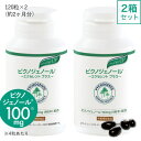 ピクノジェノール エクセレントプラス[2箱セット]【60日分・240粒】[pycnogenol 2cs] [fs01gm]【おすすめ】 その1