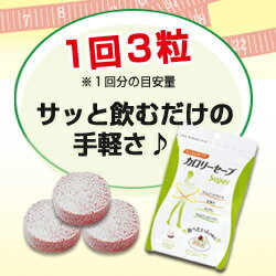 サニーヘルス マイクロダイエット MICRODIETカロリーセーブスーパー 6袋セット(約2ヶ月分) スリムサプリメント【1袋あたり90粒入り】【送料無料】【おすすめ】