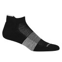 Icebreaker ACXu[J[ C Multisport Light Micro Merino Y