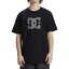 Dc shoes ǥ ȾµT Star 