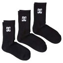 Dc shoes fB[V[ N[\bNX ADYAA03189 3 P Y