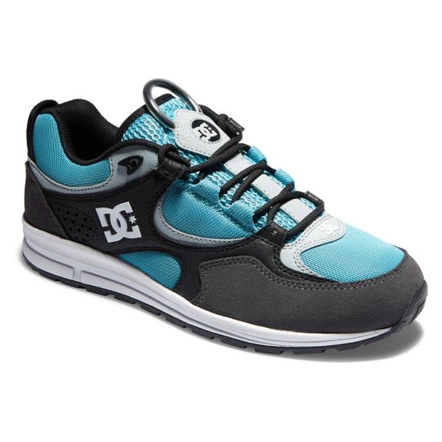 Dc shoes ディーシー ト