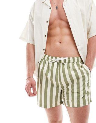 ルック New Look tom striped swim shorts in light green メンズ