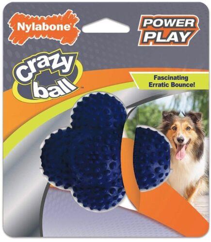 Nylabone Power Play Crazy Ball Dog Toy Large 1 count ユニセックス