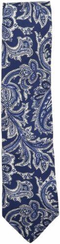 Luigi Borrelli Men's Paisley Printed Tie Necktie Y