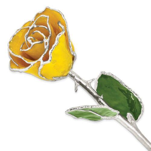 楽天サンガUnbranded Jewelry Rose Lacquered Finish Dipped Silver-plated Trimmed Yellow ユニセックス