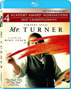 Sony Pictures Mr. Turner  Dolby Digital Theater System Widescreen