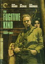 yAՁzThe Fugitive Kind (Criterion Collection) [New DVD]