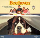 楽天サンガ【輸入盤】Universal Studios Beethoven [New DVD] Snap Case Widescreen