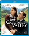 Mill Creek DVD How Green Was My Valley [New Blu-ray] Full Frame Subtitled Ac-3/Dolby Digita■ご注文の際は、必ずご確認ください。※日本語は国内作品を除いて通常、収録されておりません。※ご視聴にはリージョン等、特有の注意点があります。プレーヤーによって再生できない可能性があるため、ご使用の機器が対応しているか必ずお確かめください。※こちらの商品は海外からのお取り寄せ商品となりますので、ご入金確認後、商品お届けまで3から5週間程度お時間を頂いております。※高額商品(3万円以上)は、代引きでの発送をお受けできません。※ご注文後にお客様へ「注文確認のメール」をお送りいたします。それ以降のキャンセル、サイズ交換、返品はできませんので、あらかじめご了承願います。また、ご注文をいただいてからの発注となる為、メーカー在庫切れ等により商品がご用意できない場合がございます。その際には早急にキャンセル、ご返金いたします。※海外輸入の為、遅延が発生する場合や出荷段階での付属品の箱つぶれ、細かい傷や汚れ等が発生する場合がございます。Mill Creek DVD How Green Was My Valley [New Blu-ray] Full Frame Subtitled Ac-3/Dolby Digita