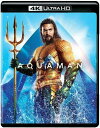 Warner Home Video Aquaman (DC)  With Blu-Ray 4K Mastering