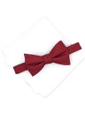 ALFANI Mens Red Geometric Pre-Tied Silk Bow Tie Y