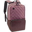 tH[JXXy[X Focused Space The Curriculum Backpack (burgundy) jZbNX