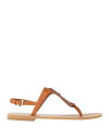 トラサルディ TRUSSARDI Flip flops レディース