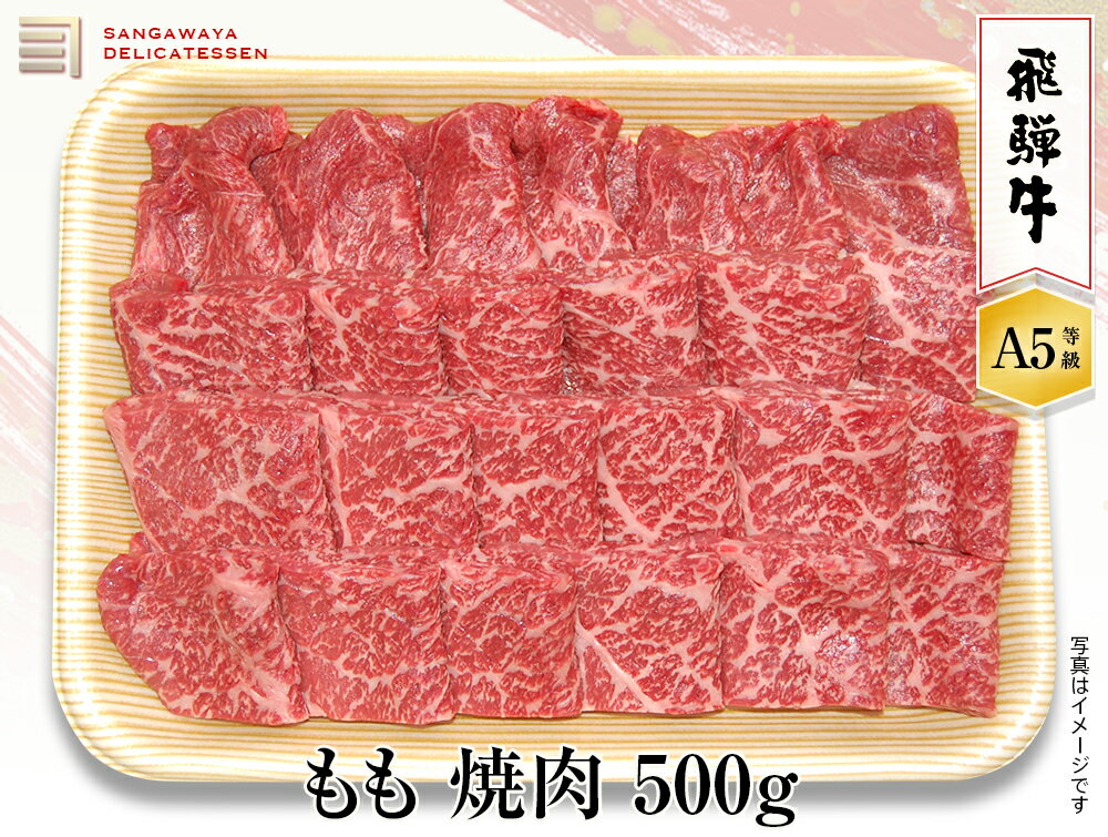 飛騨牛 【飛騨牛 A5等級】もも焼き肉　500g　送料無料！　　父の日ギフト 父の日 牛肉 贈答 a5等級 お中元・お歳暮・季節のギフト他・内祝い・お祝い・お礼・誕生日プレゼント