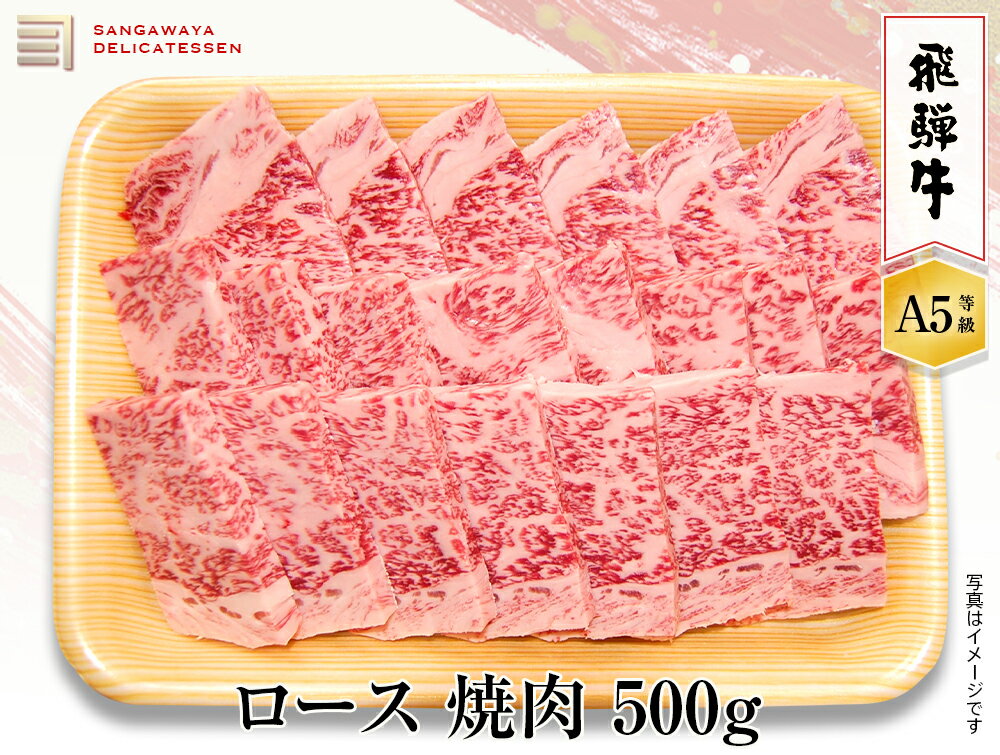 飛騨牛 【飛騨牛 A5等級】ロース焼き肉　500g　送料無料！　　父の日ギフト 父の日 牛肉 贈答 a5等級 お中元・お歳暮・季節のギフト他・内祝い・お祝い・お礼・誕生日プレゼント