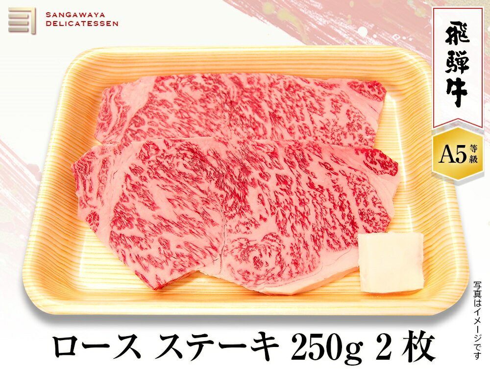 飛騨牛 【飛騨牛 A5等級】ロースステーキ 500g　(250×2枚）　送料無料！　　父の日ギフト 父の日 牛肉 贈答 a5等級 お中元・お歳暮・季節のギフト他・内祝い・お祝い・お礼・誕生日プレゼント