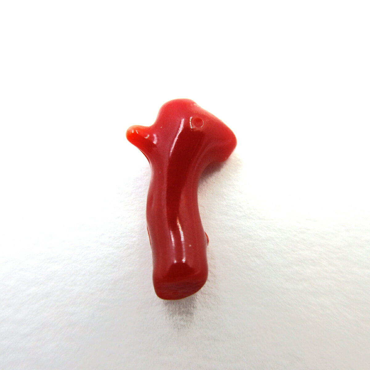 血赤珊瑚 土佐沖 枝 パーツ ルース 赤 素材 手作り オリジナルアクセサリー さんご サンゴ コーラル sango coral 本珊瑚 無染色 宝石珊瑚