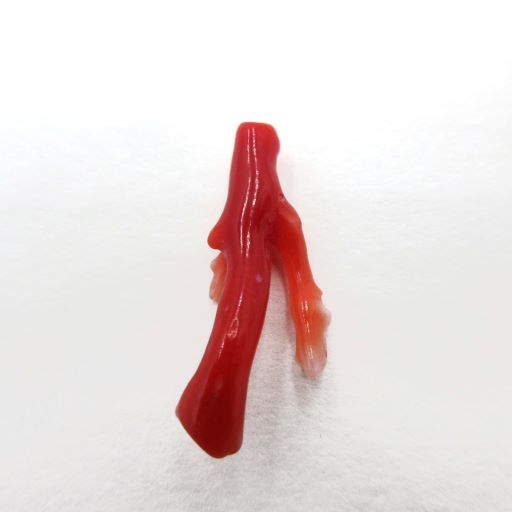 血赤珊瑚 土佐沖 枝 パーツ ルース 赤 素材 手作り ハンドメイド オリジナルアクセサリー さんご サンゴ コーラル sango coral 本珊瑚 無染色 ...