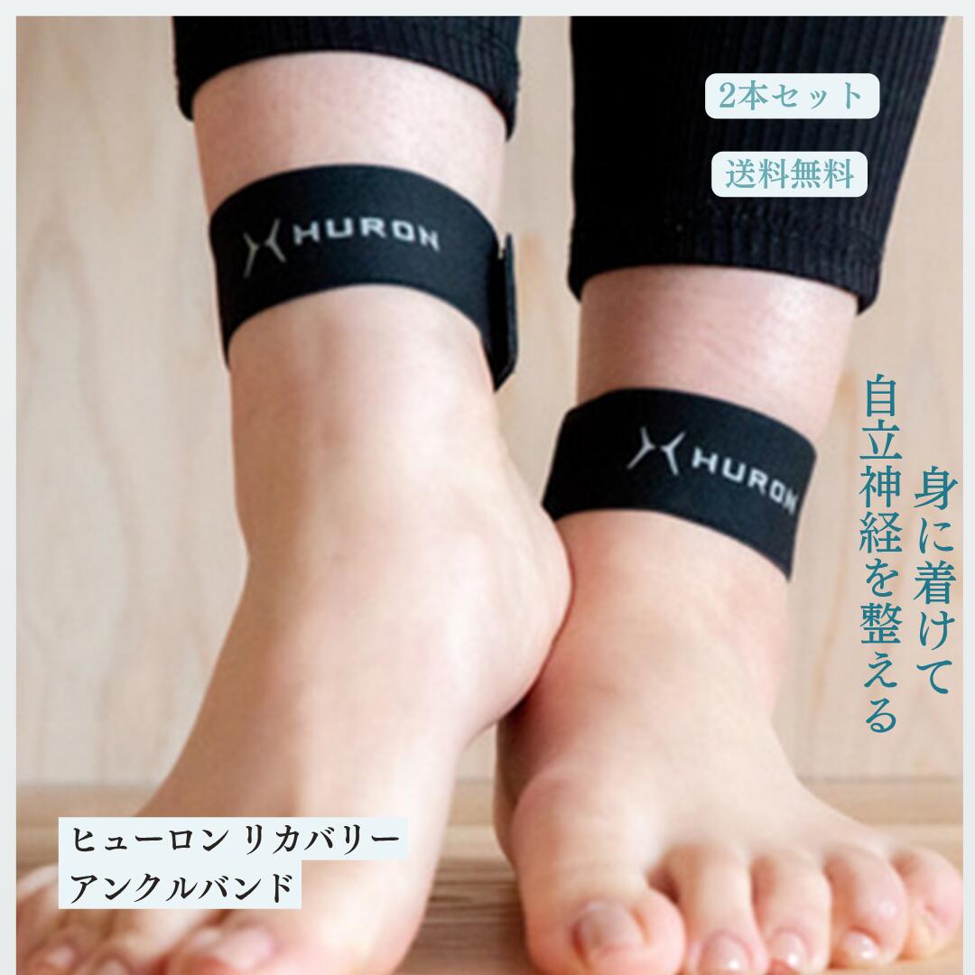 BlackFridayݥ10ܡHURON ꥫХ꡼ 󥯥Х å ҥ塼 2ܥå ꥫХ꡼ ̲ Χ ...