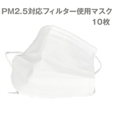 【在庫あり】PM2.5対応フィルター使用立体マスク　10枚大人用【使い捨て・不織布・花粉・ウイルス・予防】