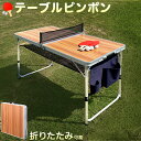 最大2000円OFFクーポン配布中 12/25(木)00:00〜 テーブルピンポン セット 室内 コンパクト 小型 ピンポン台 庭 アウトドアテーブル 卓球セッ...
