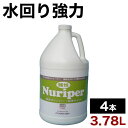 【ボーナスSALE開催中】水回り用洗剤 3.78L 4本セット 水回り洗剤 業務用 強力水回り用洗剤 浴室 蛇口 トイレ タイル プール 洗浄剤 洗剤 酸性ヌリ...