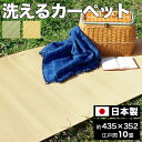 【17日〜期間限定 P20倍】 ラグ 洗える 日本製 国産 アウトドア レジャー アウトドア 和室 シンプル グリーン 江戸間 10畳 約 435×352cm(3)