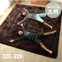 【6ヶ月保証付】ラグ こたつ敷き布団 正方形 幅広ラグ ブラウン 約 220×220cm