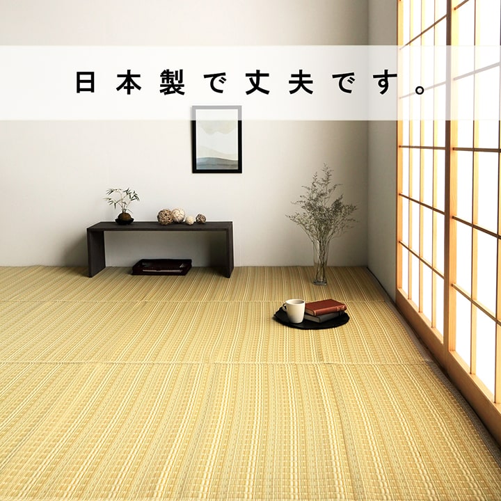 洗える カーペット ダイニング ラグ 敷詰 丈夫 日本製 国産 除菌スプレー対応 ござ アウトドア ペット グリーン 団地間 3畳 約 170×255cm [3]
