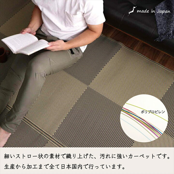 洗える ござ 日本製 国産 カーペット 丈夫 除菌スプレー対応 敷詰 ラグ 敷物 ナチュラルスタイル アウトドア レジャー ペット ブラウン 江戸間 4.5畳 約 261×261cm [2]