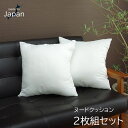 【ボーナスSALE開催中】ヌードクッション 洗える 日本製 中身 セアテ アイボリー 約 45×45cm 2枚組