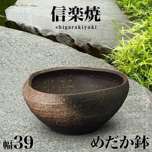 楽天市場】火鉢 めだか(種類(植木鉢)睡蓮鉢)の通販 楽天市場】火鉢 めだか(種類(植木鉢)睡蓮鉢)の通販