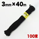 【ボーナスSALE開催中】しゅろ縄 黒 3mm×40m 入数100 100個入 100巻 棕櫚 シュロ クロ ガーデニング 庭 農業 業務資材 支柱結束資材 結束 シュロ縄 麻縄 麻紐 麻ひも