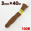 【ボーナスSALE開催中】しゅろ縄(茶色) 3mm×40m 入数100 100個入 100巻 棕櫚 シュロ チャ ガーデニング 庭 農業 業務資材 支柱結束資材 結束 シュロ縄 麻縄 麻紐 麻ひも