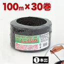 【ボーナスSALE開催中】しゅろ縄 平巻 3mm×100m 黒 30個入 入り数30 棕櫚 シュロ クロ ガーデニング 庭 農業 業務資材 まとめ買い 支柱結束資材 結束 シュロ縄 麻縄 麻紐 麻ひも