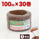 【ボーナスSALE開催中】しゅろ縄 平巻 3mm×100m 茶 入数30 入り数30 30巻 チャ ガーデニング 庭 農業 業務資材 支柱結束資材 結束 シュロ...