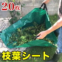 【ボーナスSALE開催中】枝葉シート150×150cm 入数20 20入 20枚入 落葉拾い 落葉集め 落葉 枝広い 庭掃除 造園作業 農作業 便利 丈夫