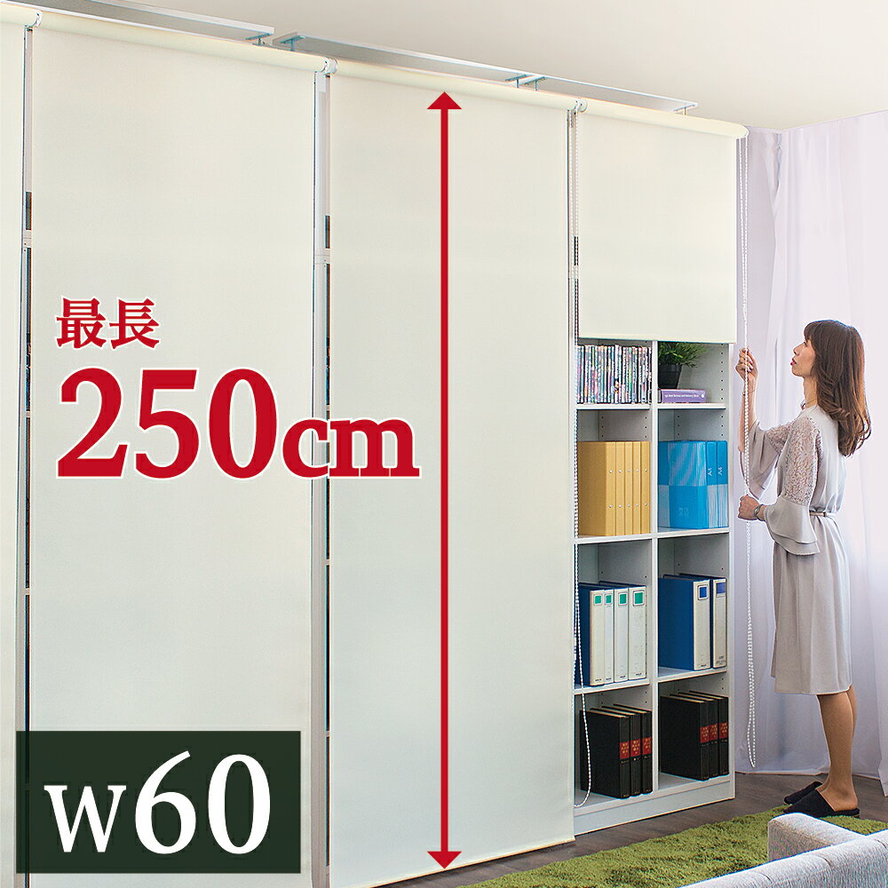 【6ヶ月保証付】ロールスクリーン 幅60cm×高さ250cm 本棚 用 目隠し オフィス キッチン 収納 隠す 間仕切り スクリーン 模様替え 日よけ 日除け ブラインド おしゃれ ブラインド カーテン 窓 白 ホワイト アイボリー 送料無料 組立不要