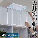 【期間限定ポイント2倍】 天井突っ張り 高さ42cm〜60cm 家具突っ張り器具 つっぱり棒 強力 おしゃれ 地震 家具転倒防止器具 突っ張り棒 防災グッズ 家...