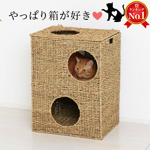 猫ちぐら 約幅45 ボックスハウス 箱ボックス型ハウス 猫用ハウス 天然素材 ペット用ハウス 遊び場おもちゃトンネル隠れる 箱型 水草 シーグラス 素朴 猫ベッド つぐら 猫トンネル カゴ籠かご箱ボックス 箱 にゃんこ用ハウス 藁に似た水草/通販