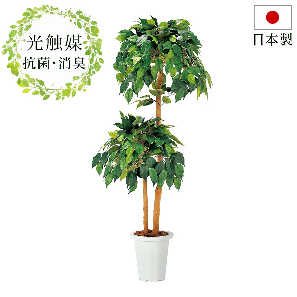 観葉植物 フェイクグリーン 幅50cm 光触媒 人工観葉植物 おしゃれ 抗菌 ナチュラル 消臭 玄関 日本製 観葉植物 ニオイを分解 V-CAT 防汚 ホルムアルデヒド分解力 造花 ベンジャミン 光触媒 ペットの 臭い対策 お祝い等ギフトにもお勧め