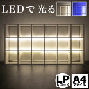 【期間限定 ポイント2倍】【2台連結セット LEDライト付き】コレクションラック コレクションケース ディスプレイラック ディスプレーラック 大型 ロータイプ 薄型 フィギュア 棚 フィギュアケース 収納 木製 LED おしゃれ 高さ106cm 幅210cm 奥行26cm