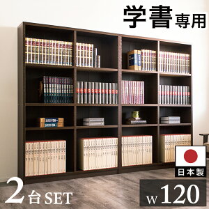 強化シェルフ 2台セット 本棚 書棚 強化書棚 幅240 筋肉シェルフ シック ダークブラウン 板厚2.5cm 頑丈 辞書 辞典 蔵書 図鑑 専門書 書籍 医学書 雑誌 書類 大量 保管 整理 たわまない 丈夫 強い 書 士業 重役室 応接室 社長室 書斎 映える 国産 日本製 A4 可動棚 幅120