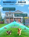 sangosyote:10000422のサンプル画像2