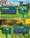 sangosyote:10000422のサンプル画像3